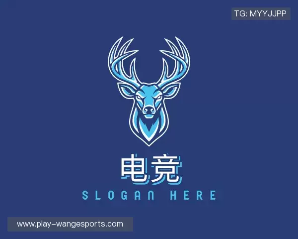 介绍电竞网
